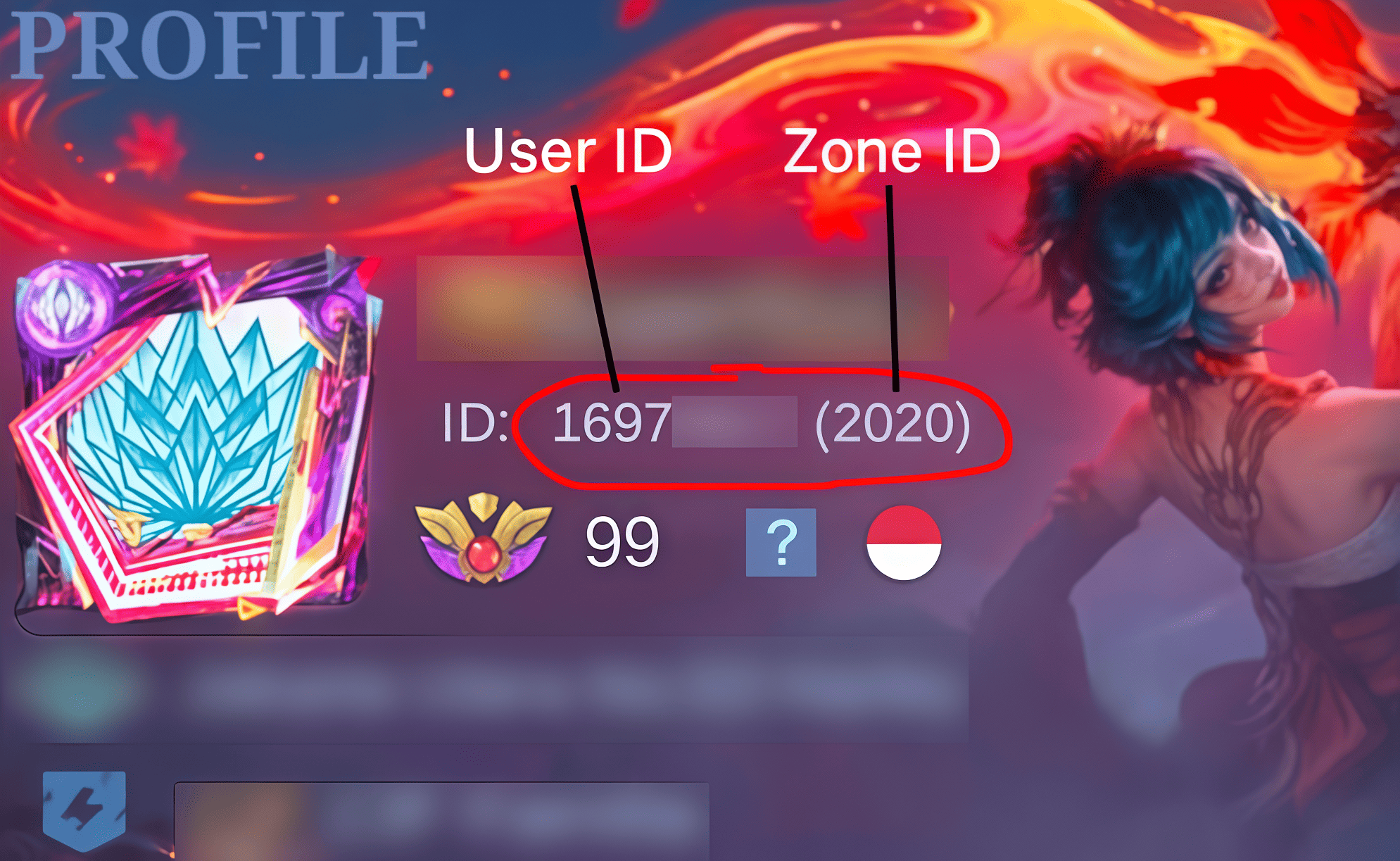 Panduan Letak ID